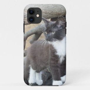 Capa Para iPhone Da Case-Mate Tuxedo Kitten