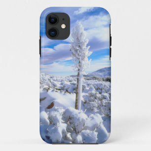 Capa Para iPhone Da Case-Mate Um yucca coberto de neve