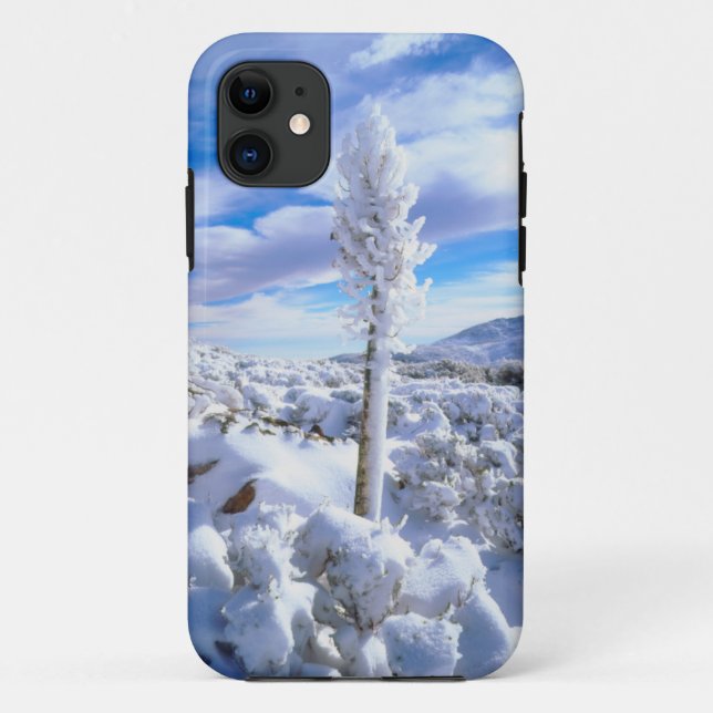 Capa Para iPhone Da Case-Mate Um yucca coberto de neve (Verso)