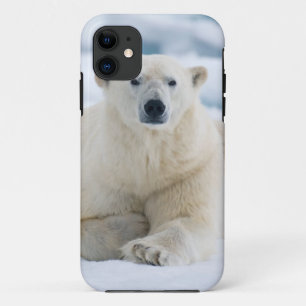 Capa Para iPhone Da Case-Mate Urso polar adulto no gelo da mochila de verão