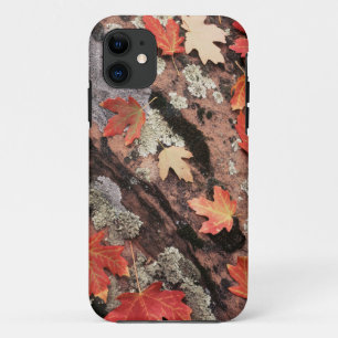 Capa Para iPhone Da Case-Mate Utah, Parque Nacional Zion, Padrões de outono