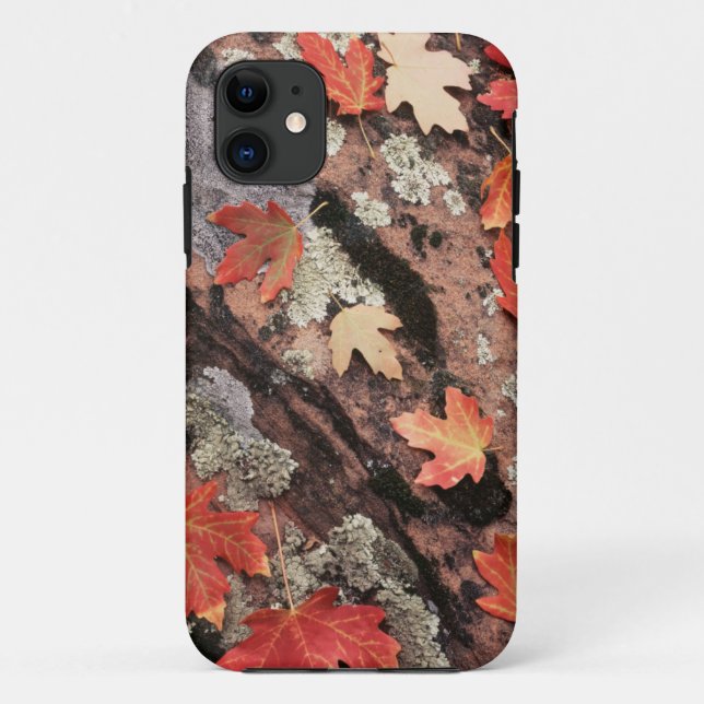 Capa Para iPhone Da Case-Mate Utah, Parque Nacional Zion, Padrões de outono (Verso)
