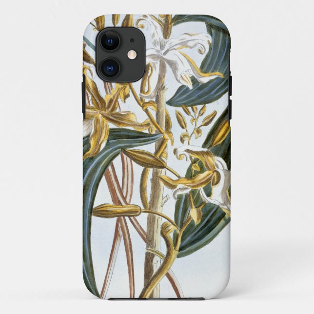 Capa Para iPhone Da Case-Mate Vagens da baunilha, placa 65, 'da coleção (Verso)