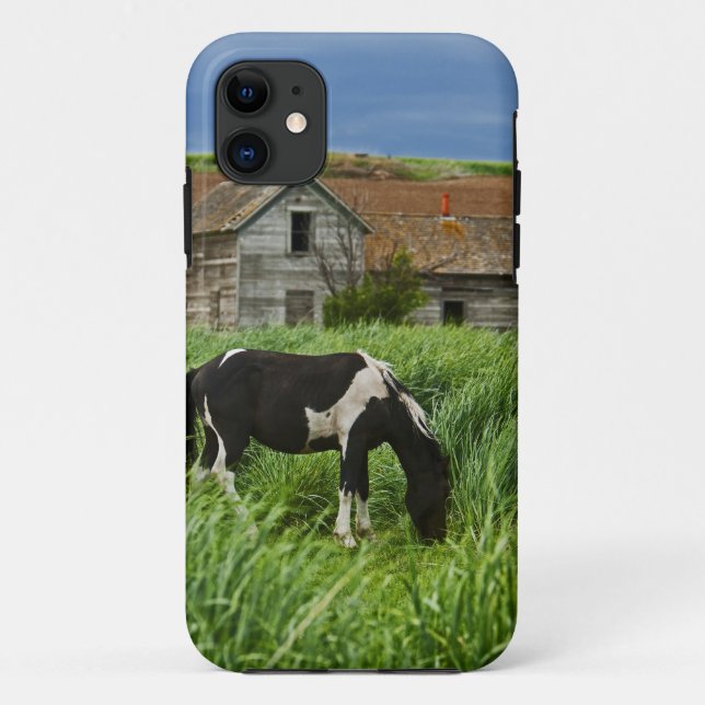 Capa Para iPhone Da Case-Mate Vendo cavalos em um campo no Palouse 2 (Verso)