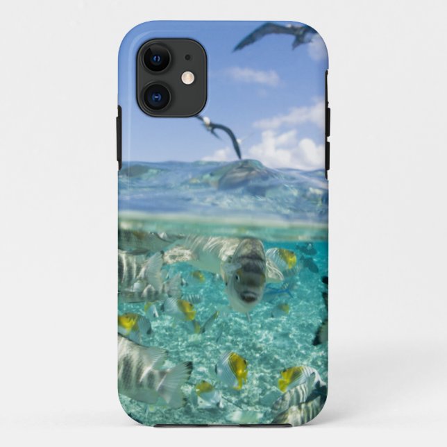 Capa Para iPhone Da Case-Mate Viagem de Lagoon safari com Stingrays (Verso)