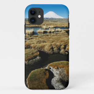 Capa Para iPhone Da Case-Mate Vulcões Payachalas