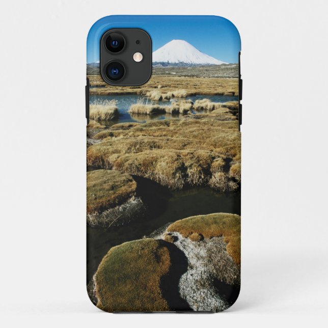 Capa Para iPhone Da Case-Mate Vulcões Payachalas (Verso)