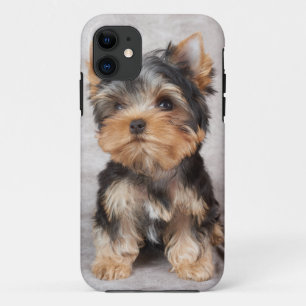 Capa Para iPhone Da Case-Mate Yorkie maravilhoso
