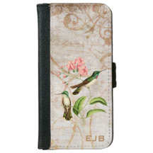 Colibri da gema da montanha