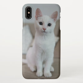 Capa Para iPhone Gato branco | Zazzle_Growth.