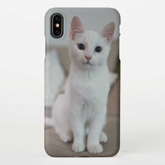 Capa Para iPhone Gato branco | Zazzle_Growth. (Verso)