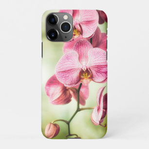 Capa Para iPhone Orquídea Rosa