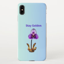 Stay Golden Orchid