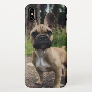 Capa Para iPhone Travesseiro decorativo de Buldogue Francês