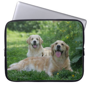 Capa Para Notebook 2 Retrievers dourados que colocam na grama