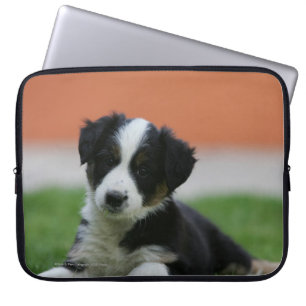Capa Para Notebook 6 border collie semanas de idade