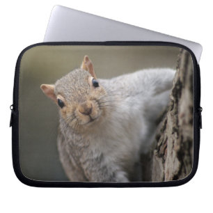 Capa Para Notebook A bolsa de laptop curiosa do esquilo