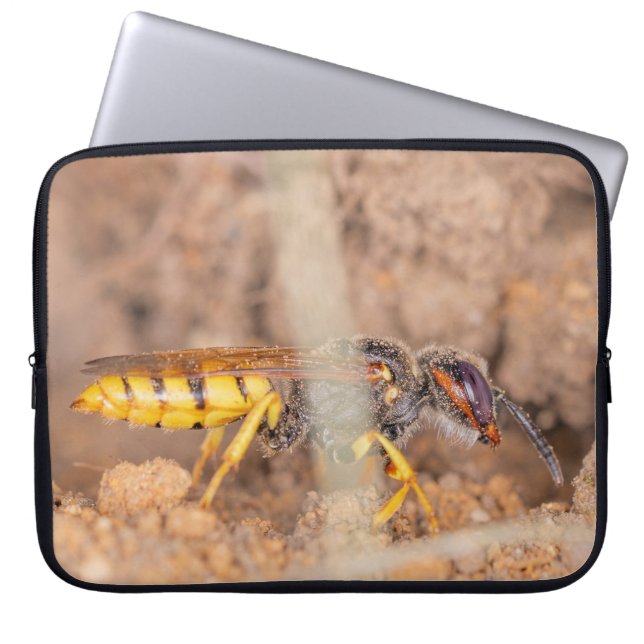 Capa Para Notebook A close-up photograph of a wasp (Frente)