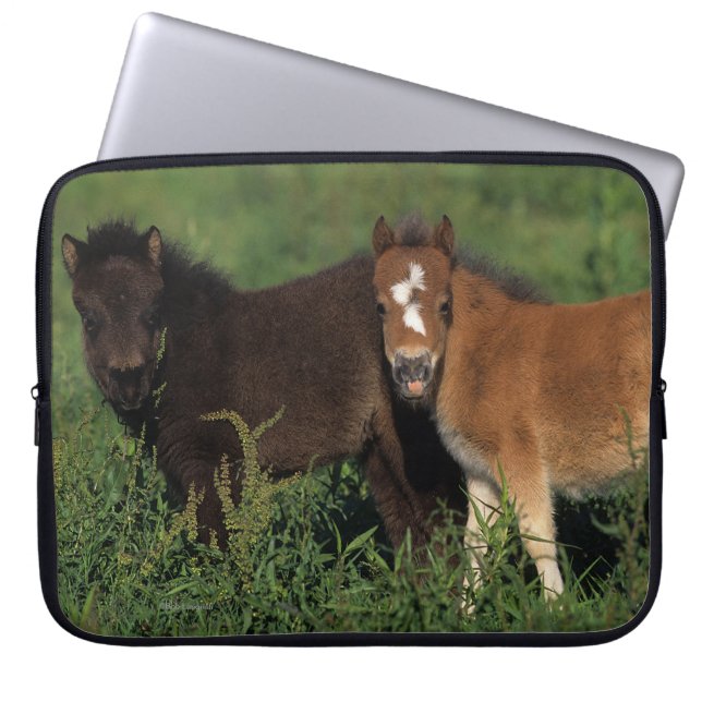 Capa Para Notebook A miniatura Foals na grama (Frente)