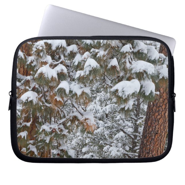 Capa Para Notebook A neve enche os galhos das árvores de pinheiro pon (Frente)