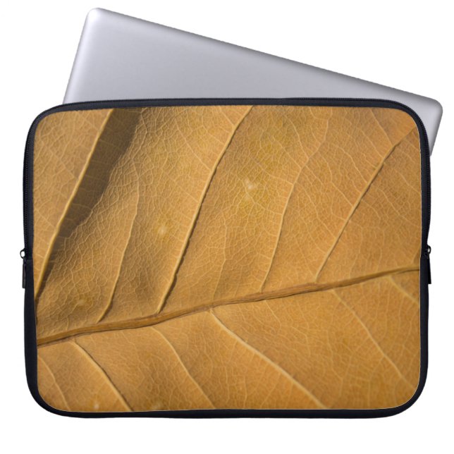 Capa Para Notebook Abstrato de aproximação à parte dorsal da textura  (Frente)