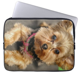 Capa Para Notebook Adorável