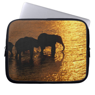 Capa Para Notebook África, Botsuana, Delta do Okavango. Africano
