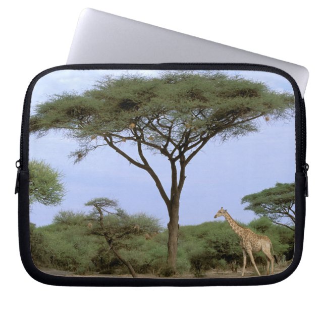 Capa Para Notebook África, Botsuana, Delta do Okavango. Sul (Frente)