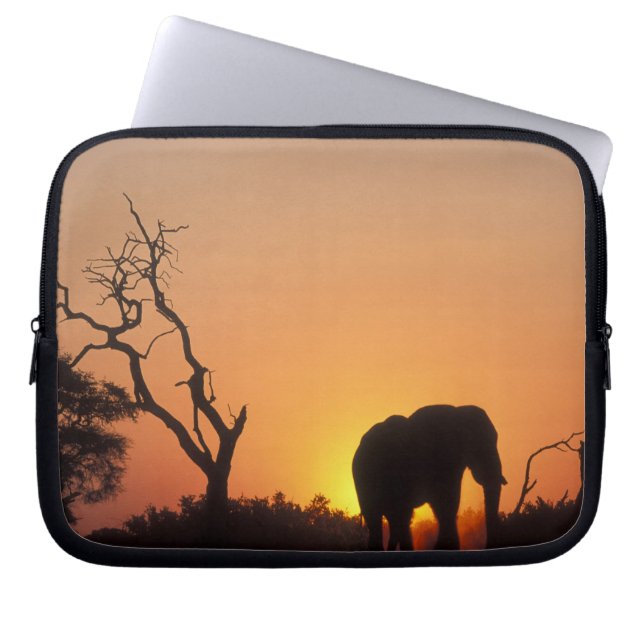 Capa Para Notebook África, Botsuana, Parque Nacional Chobe, Cenário (Frente)