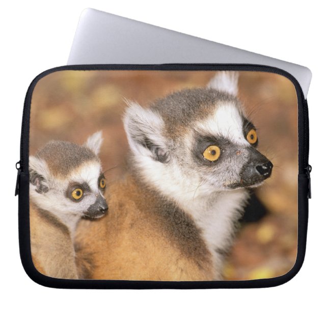 Capa Para Notebook África, Madagascar, Reserva Particular Berenty. (Frente)