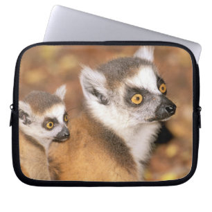 Capa Para Notebook África, Madagáscar, Reserva Privada de Berília.