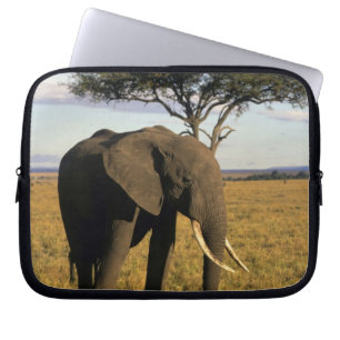 Capa Para Notebook África, Quênia, Maasai Mara. Um elefante no