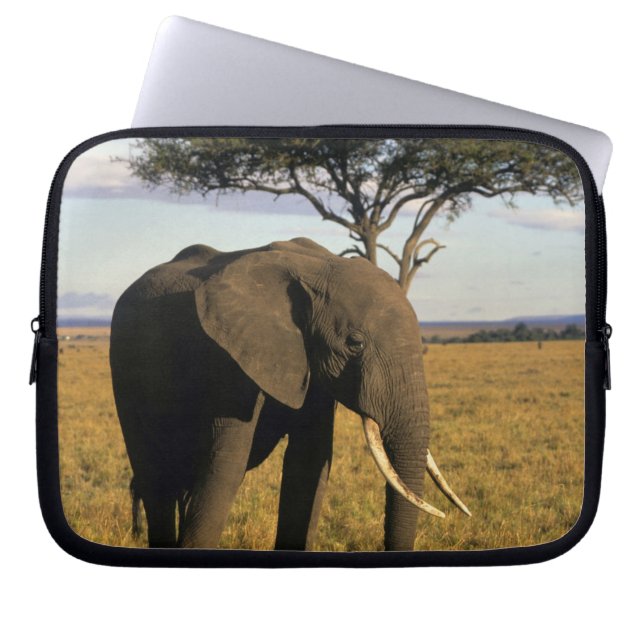 Capa Para Notebook África, Quênia, Maasai Mara. Um elefante no (Frente)