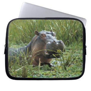 Capa Para Notebook África, Quênia, Masai Mara NR. Uma mãe hipopótamo