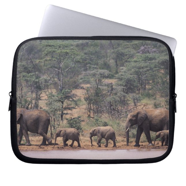 Capa Para Notebook África, Quênia, Nanyuki, Mpala. Africano (Frente)