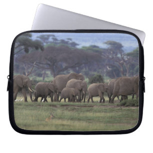 Capa Para Notebook África, Quênia, Parque Nacional de Amboseli. Afric