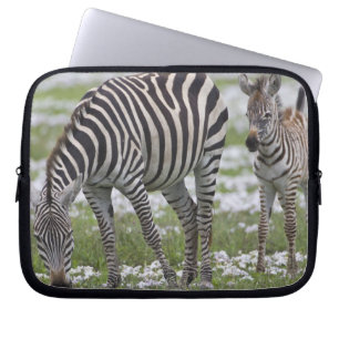 Capa Para Notebook África. Tanzânia. Mãe e cria de zebra