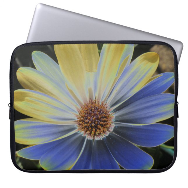Capa Para Notebook African Daisy Lapis e Dourada bolsa de Laptop (Frente)
