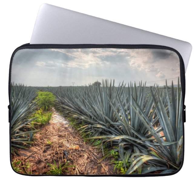 Capa Para Notebook Agave Tequilana (Frente)