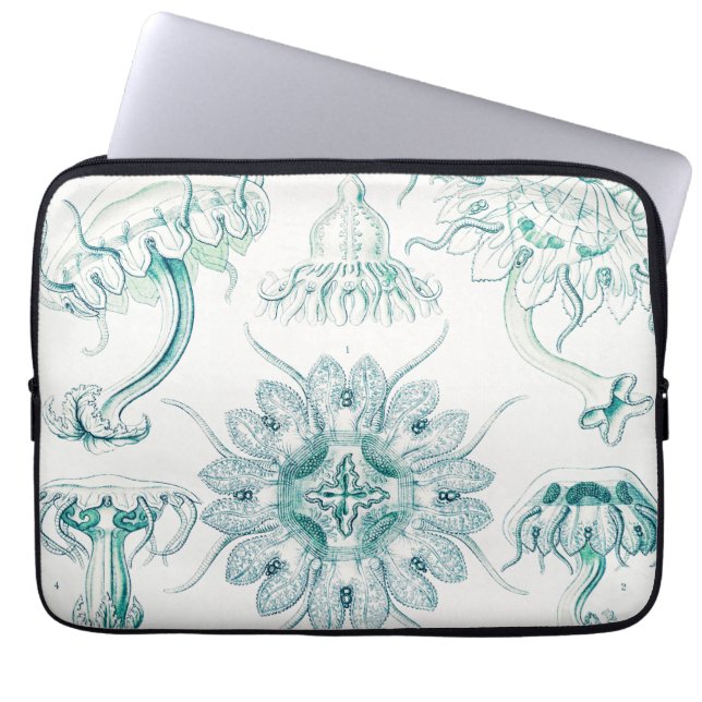 Capa Para Notebook Água-viva, Discomedusae por Ernst Haeckel (Frente)