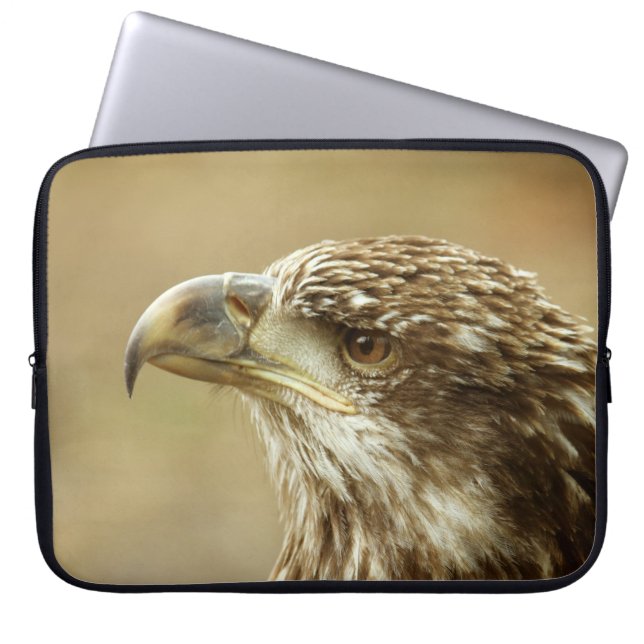 Capa Para Notebook Águia Balda Imatura (Frente)