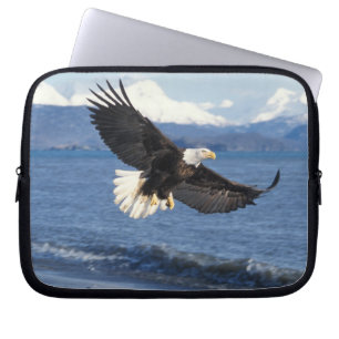 Capa Para Notebook águia-careca, Haliaeetus leuccocephalus, em voo