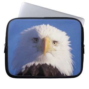 Capa Para Notebook águia-careca, Haliaeetus leucocephalus, foto da ca