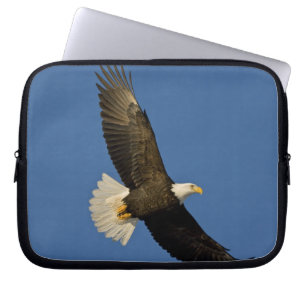 Capa Para Notebook Águia-pescadora, Haliaeetus leucocephalus, Homer,