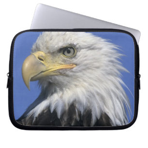 Capa Para Notebook Águia-pescadora, (Haliaeetus leucocephalus), selva