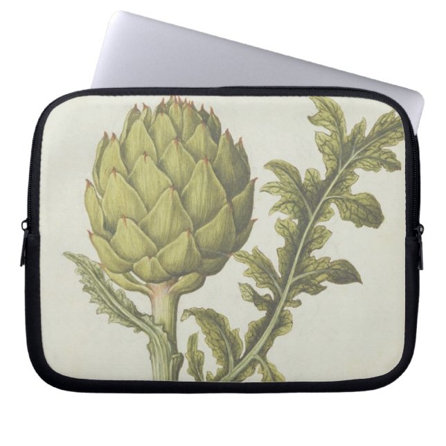 Capa Para Notebook Alcachofra: Scolymus do Cynara, c.1568 (Frente)