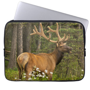 Capa Para Notebook Alce macho em veludo, Canadá