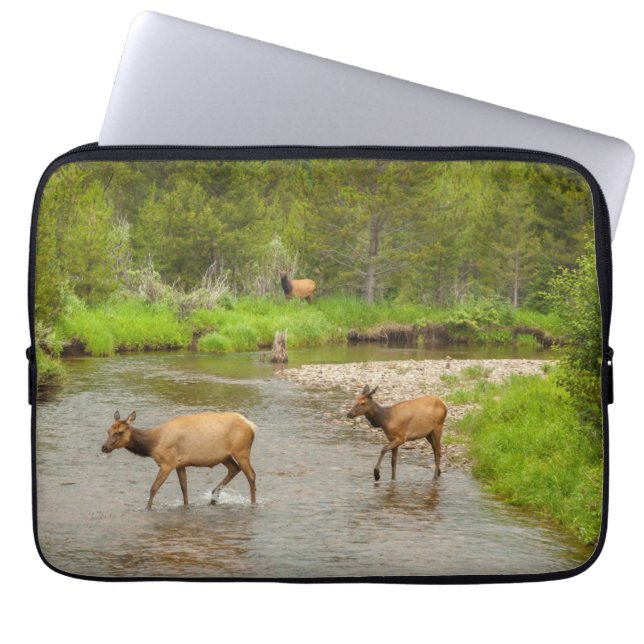 Capa Para Notebook Alces cruzando o rio Colorado (Frente)