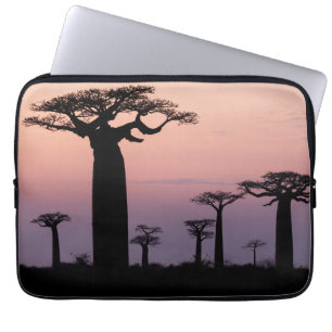 Capa Para Notebook Alley dos Baobás, Madagascar, Morondava, África,