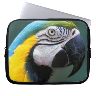 Capa Para Notebook América do Sul, Brasil, Parque Nacional do Iguaçu,